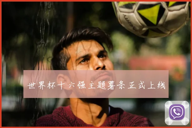 世界杯十六强主题薯条正式上线
