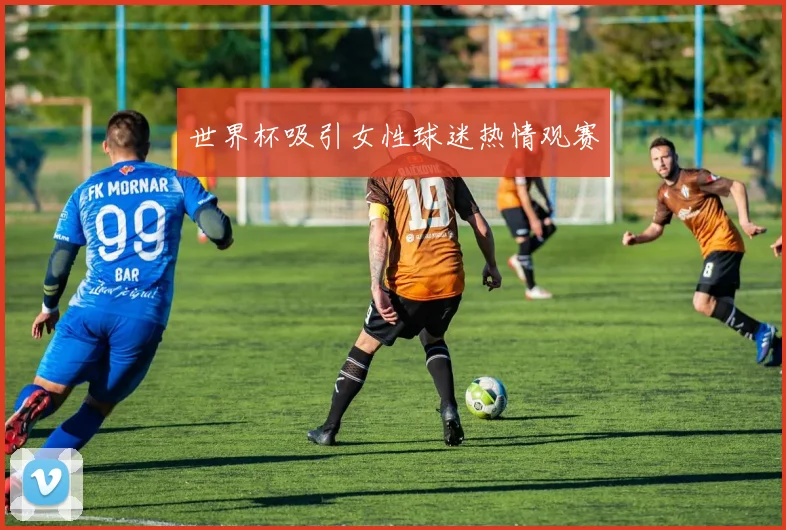 世界杯吸引女性球迷热情观赛